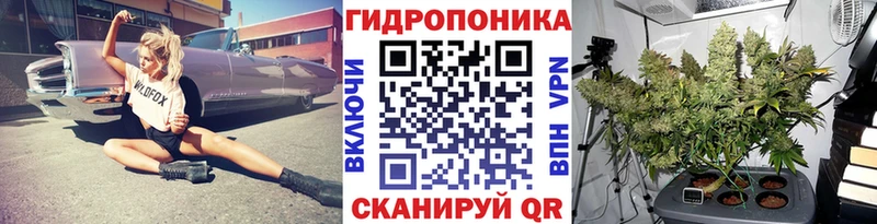 Купить закладки  Новосокольники  Бошки Шишки конопля 